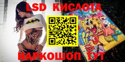 стаф Донской