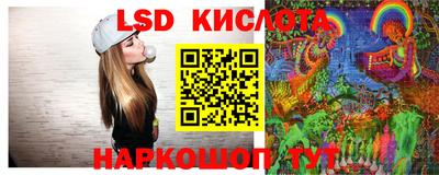 стаф Донской