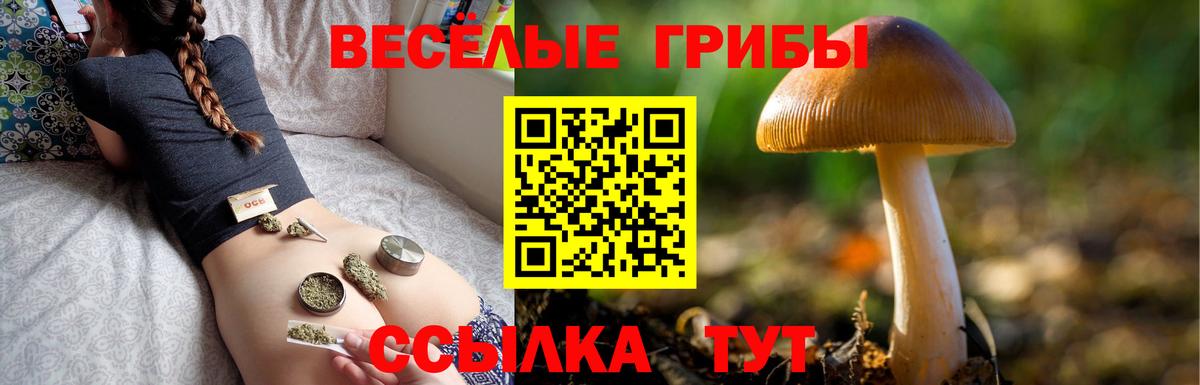 закладки  Вход с VPN  Псилоцибиновые грибы ЛСД  Лабытнанги  Галлюциногенные грибы мицелий 